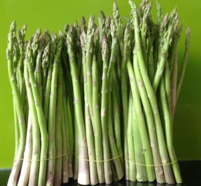 alioss_336_2023100611172972627