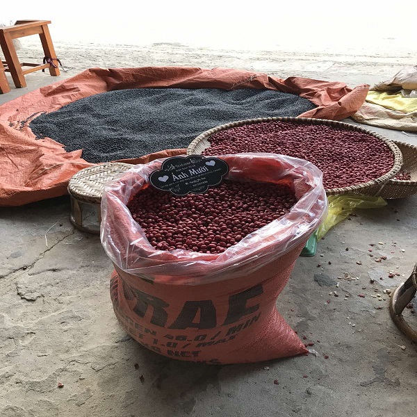 alioss_368_2023071108260073812