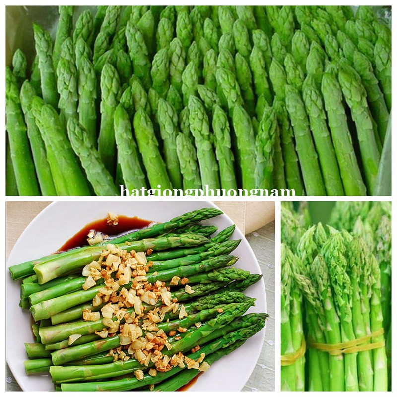 b9d475aeed6c36e55525c1a425389017