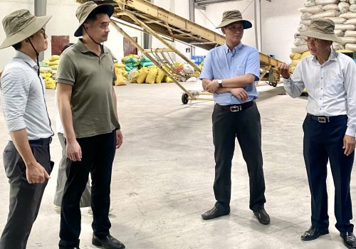 Homepage – Personal Blog